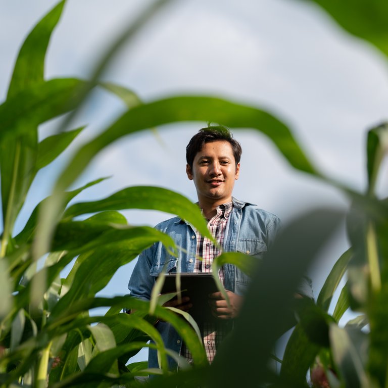 Growers Edge Growers Edge